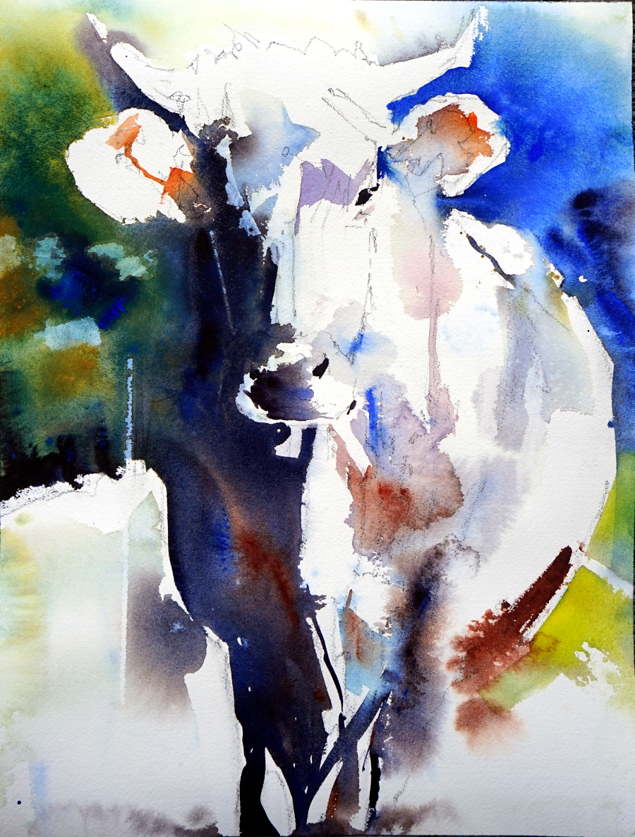 kuh aquarell watercolour Modern Art Seminar Salzburg